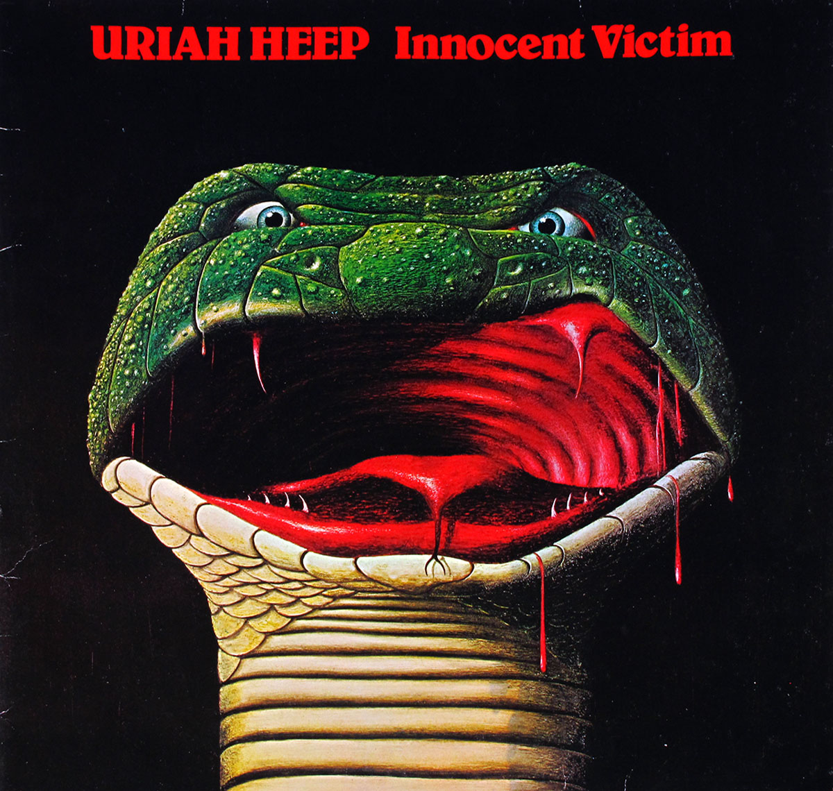 Uriah Heep's 1977 album "Innocent Victim" marked a shift in their musical style. The cover, designed by David Shortt, features an iconic full-page snake head with a large red mouth and tongue, illustrated by John Holmes. This visual element, in tandem with the album's departure from the band's heavier sound, contributes to the album's significance in showcasing artistic evolution within the rock music landscape during its release period.